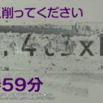【ネタ】シリアルコード1円でガリガリした結果ｗｗｗ